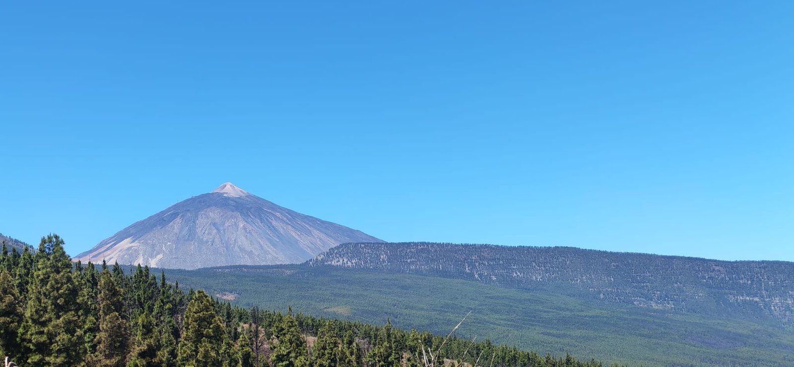 El Teide visto desde el pinar, Tenerife